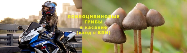 дмт Волоколамск