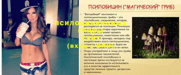 a pvp Володарск