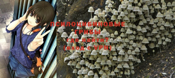 a pvp Володарск