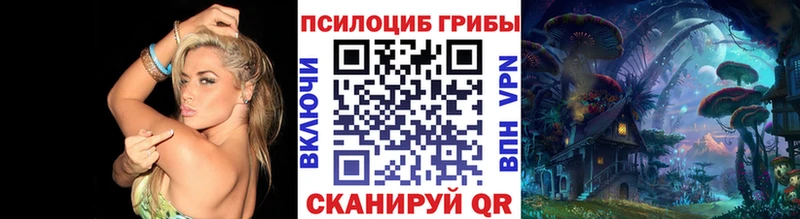 Псилоцибиновые грибы Psilocybe  хочу наркоту  Дербент 